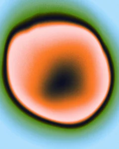 Beyond the PEA: What’s Next for a 32-Year-Old with €200k Invested?