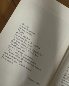 Buying vs Renting in France: Why Your Parents’ Advice Might Be Costing You