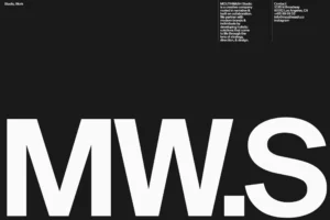 ETF World vs Diversified: Why French Investors Can’t Agree on Whether to Anticipate Markets or Accept Uncertainty