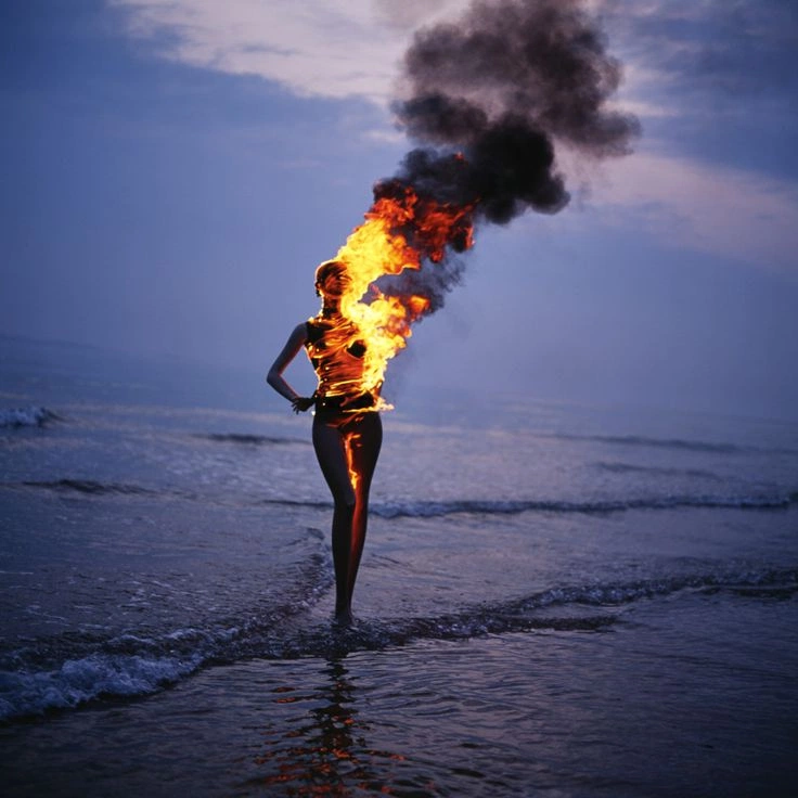 From Panic to FIRE: One Dutch Person’s First Year of Financial Independence Journey