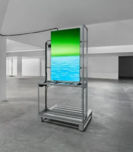 Selling America: Why German Investors Are Rethinking Their US Stock Addiction