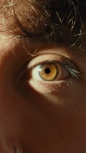 Silver’s 267% Surge: Are French Investors Missing the Metal of the Future?