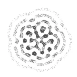 The GKV Trap: Why High Earners Pay 1,000€ Monthly and Can’t Escape