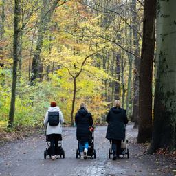 Auf einen Parkweg spazieren drei Mütter mit Kinderwagen