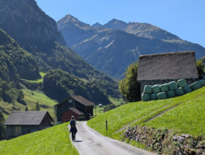 The 30% Savings Rule That’s Dividing Swiss Professionals