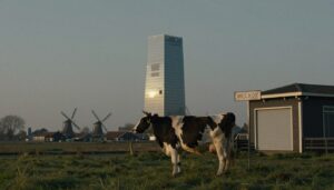 Is the Dutch Middle Class the Scapegoat for Tax Evasion?