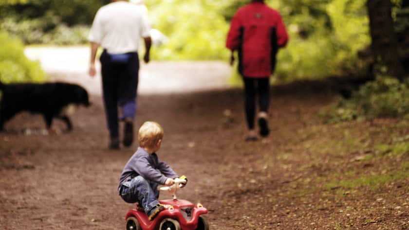 A small boy and two pensioners meet in the forest