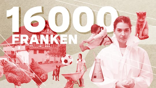 Illustration of a Swiss chemist mother balancing family finances and work responsibilities